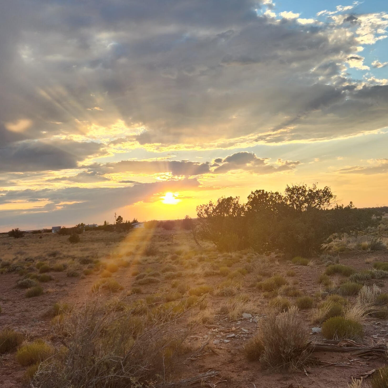 Sonoran Moon Therapy