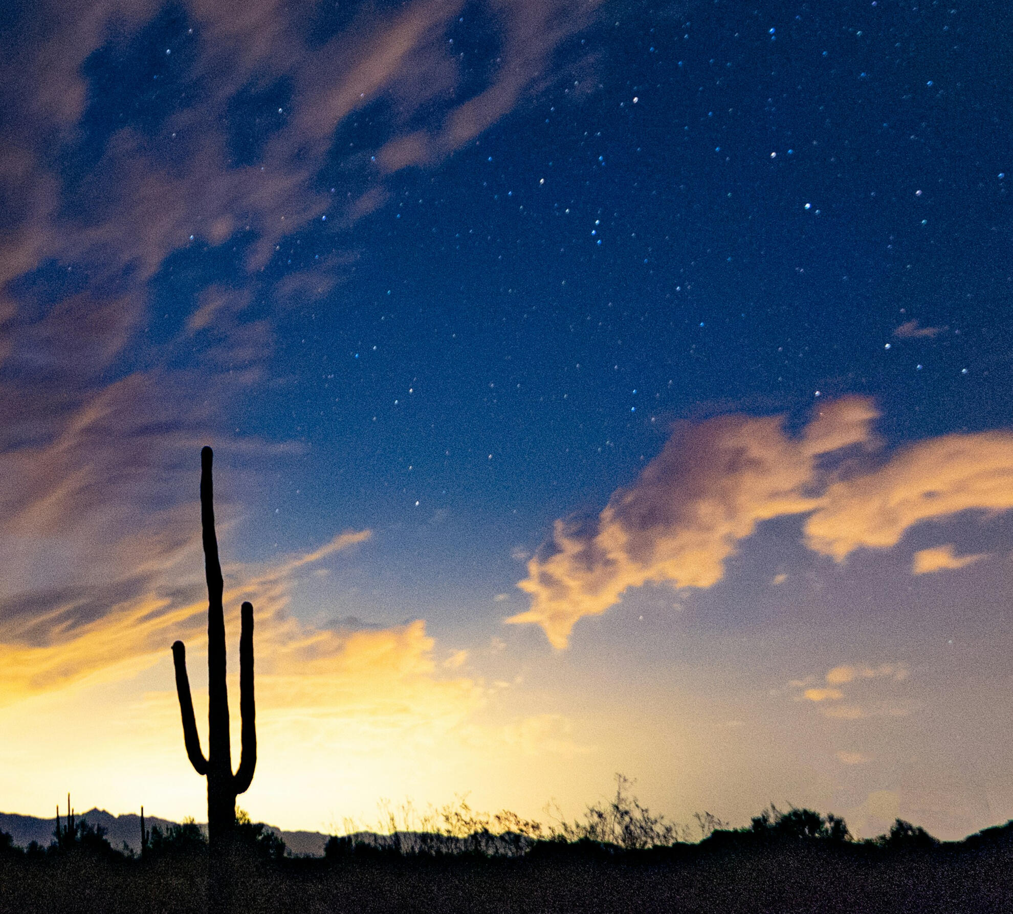 Image by Tom Gainor on Unsplash